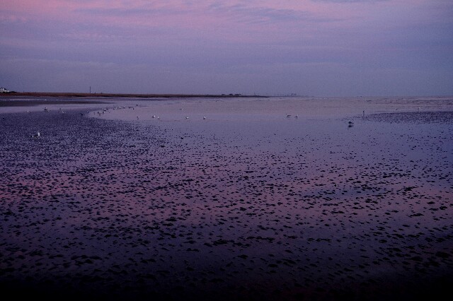 min 2007 11 25 camber plage 070